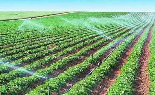 男人日女人黄片农田高 效节水灌溉